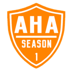 Amateur Hockey Association