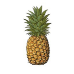 Pineapple masters