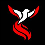 Guild Of Balefire