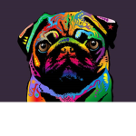 The pug gift shop