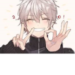 ANIM3 is good