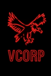 The Vultures Corporation
