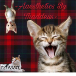~Aesthetics by Thaddeus~