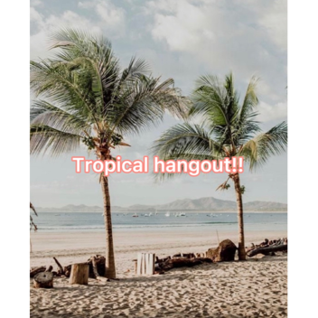Tropical Hangout!