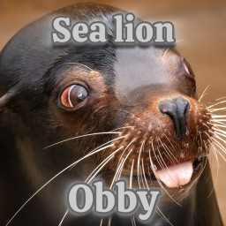 ✨ Sea Lion Obby 🐋