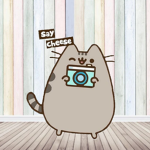 Squishmallow Cat