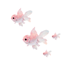Fish Friends Group Club