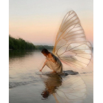 Fanfairy