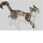 Gatos guerreiros