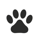 pet pawz