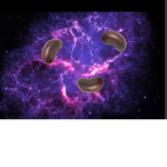 The Cosmic Beans Fan Club