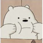 Bears Place