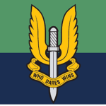 22-SAS