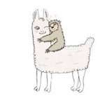 team sloth_alpacka