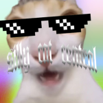 silly cat central