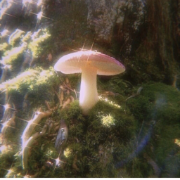 🧚‍♀️
