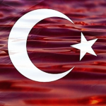 Turkey group join it