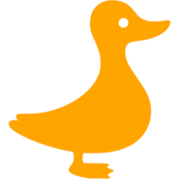 Duck Meeting