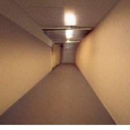 Outside Reality