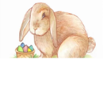 Bunnys FAN GROUP
