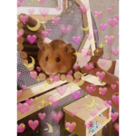Hamster Fans!!