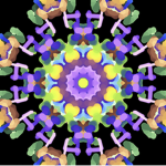 Shattereds Universe