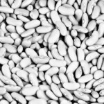 White Beans