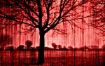 赤い雨 Blood Rain Shinobi's