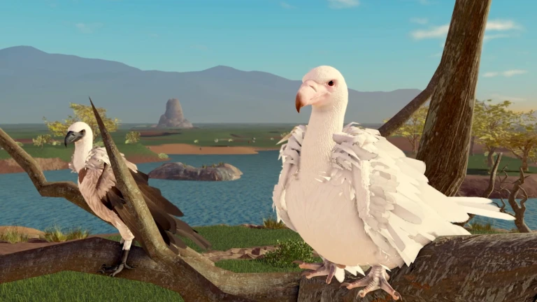 Vulture🐦‍⬛