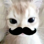 Tian'