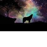 Crazy Wolf's Group Of Space And Animals