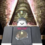 Tin Foil Hat Society