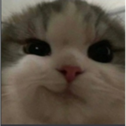 Bazinga