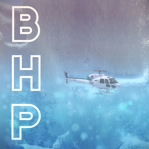 Blizzard Helicopter Practice