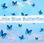 Little Blue butterfly's