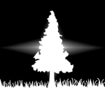 Evergreen presents
