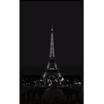 قروب التيك توك