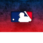 The Baseball Fan Group