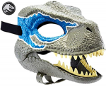 Raptor masks