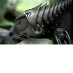 Robo KitCats