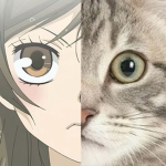 kitswugi