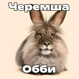 ЧЕРЕМША ОББИ OBBY