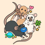 The bad rats official group!