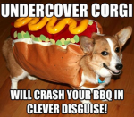 ( CORGI GROUP )
