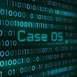 Case Os Test