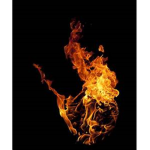 TheFlamesThatBurnTheAshes