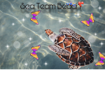 Sea Team Beach