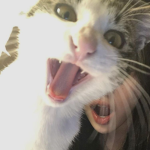 S3sqr