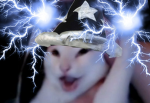 omg L dance
