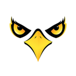 The eagle eye productions